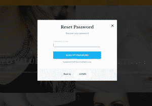 Lost Password Form