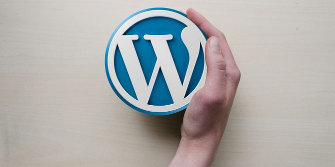 Read more about the article 7 Best Tips to Amplify The Performance of a WordPress Website