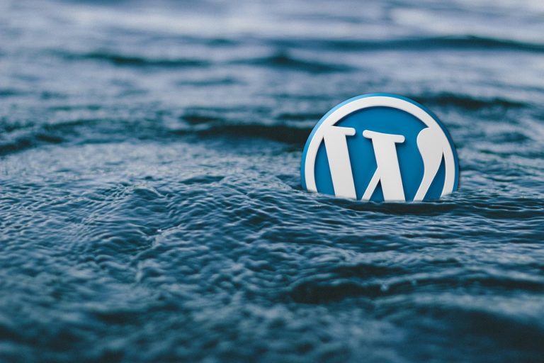Read more about the article How To Find A Place Within The World Of WordPress